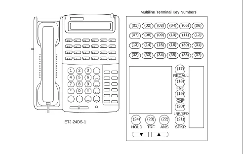 Figure 1-1  Multiline Terminal Key Numbers (Continued)