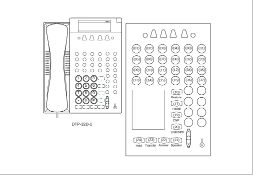 Figure 1-1  Multiline Terminal Key Numbers (Continued)