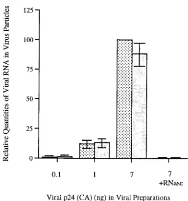 FIG. 4. Detection of viral DNA. Viruses harvested from culture ﬂuids ofCOS-7 cells that had been transfected with various molecular constructs were