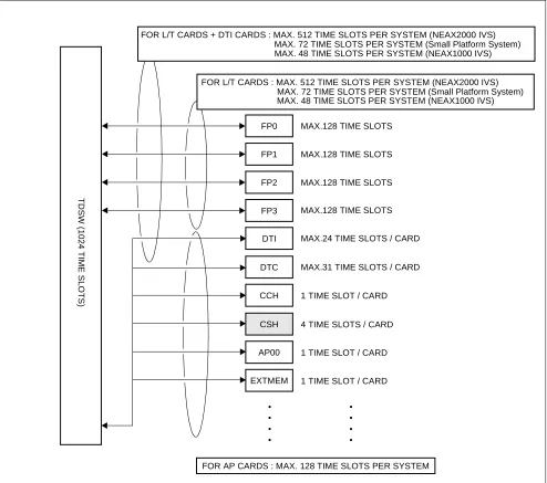 Figure 2-3    Accommodation of CSH into TDSW