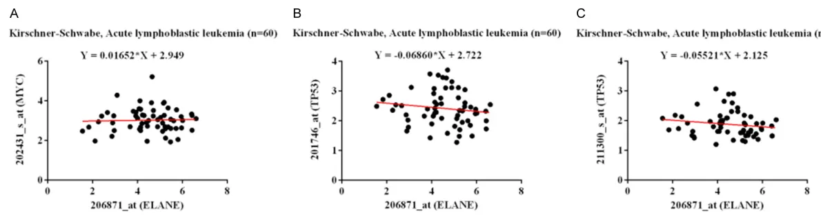 Figure 5. Correlation analysis of and -0.05521 ± 0.04437 (C. related with ELANE and MYC or TP53 expression in Kirschner-Schwabe, acute lymphoblastic leukemia (n = 60)