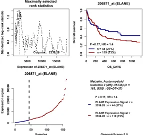 Figure 6. Correlation analysis of ELANE and TP53 expression in Metzeler acute myeloid leukemia (n = 79)