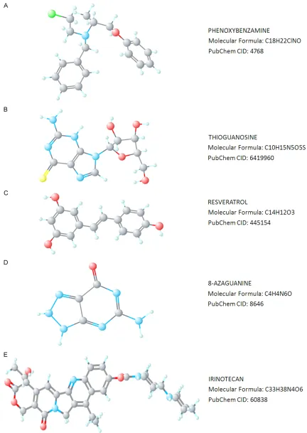 Figure 5. The 3D conformers of the five compounds similar to nitidine chloride in bone marrow-derived dendritic cells (BMDCs)