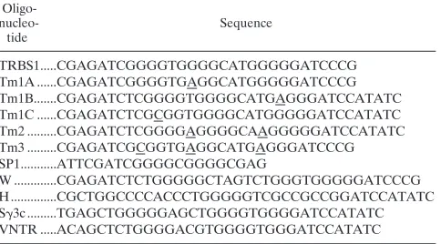 TABLE 1. Sequences of double-stranded oligonucleotidesa