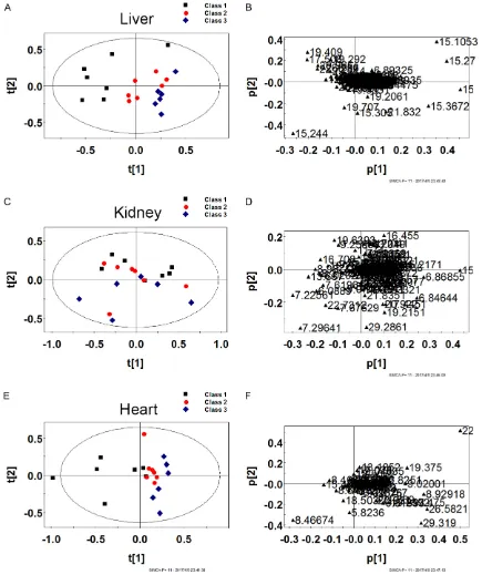 Figure 3. PCA score results of the rat liver, kidney and heart samples (A, C, E) after Aidi injection (0.5, 1.0 g/kg, Low, High), Low (Class 1), High (Class 2), Control (Class 3); the corresponding load diagram (B, D, F).