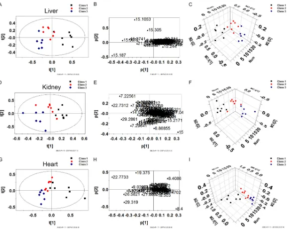 Figure 4. PLS-DA score results of the rat liver, kidney and heart samples (A, D, G) after Aidi injection (0.5, 1.0 g/kg, Low, High), low (Class 1), high (Class 2), control (Class 3); the corresponding load diagram (B, E, H); PLS-3D score results (C, F, I).