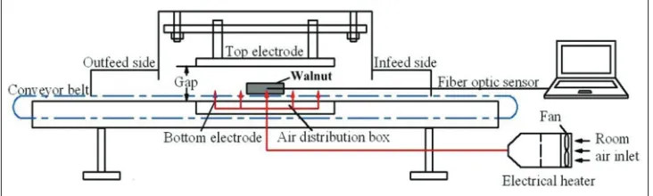 Fig 1. Schematic drawing of the free-running oscillator 6 kW, 27.12 MHz RF system showing the plate electrodes, conveyor belt, the hot air system and the fibre optic sensors (Adapted from Wang et al., 2010).