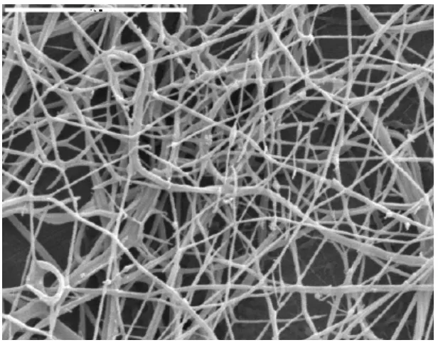 Figure 4.   nanocrystals.  White horizontal bar at upper left indicates 5 Example of nanocomposite formed between polyethyleneoxide (PEO) and cellulose μm (Photo courtesy of M
