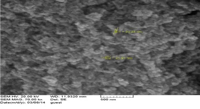 Fig. 2: SEM images of precipitated SiO2 nanoparticles with grain size 29.34-25.91 nm