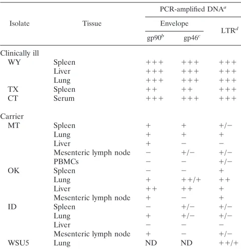 TABLE 1. Detection of PCR-ampliﬁed viral DNA fromtissues of seropositive horses