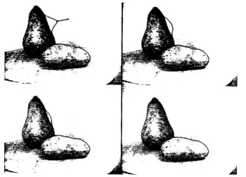 Figure 1.1: Edge detection using snakes active contour model (Kass et al., 1988)