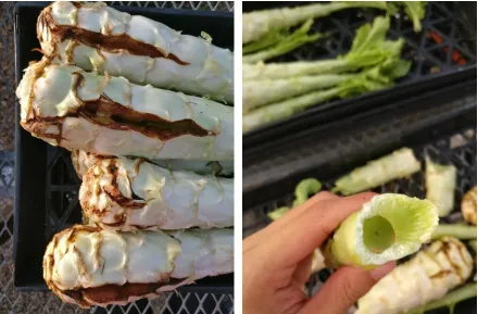 Figure 1. ‘Cracked stem’ (left) and ‘hollow stem disorder’ (right) on celtuce observed in 