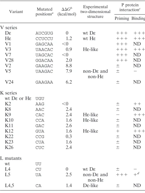 TABLE 1. Structural and functional properties of Dε variants
