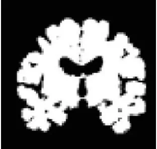 Fig.5: Generated Mask