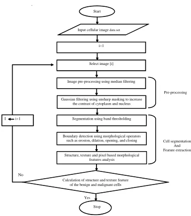 Fig. 1. Schematic flowchart of the proposed method