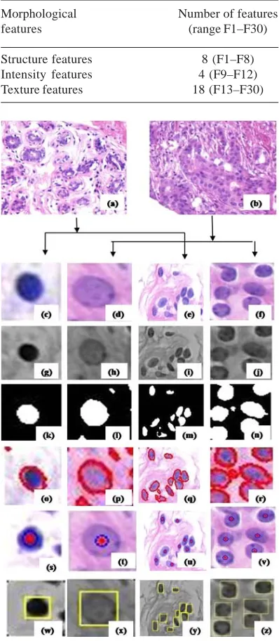 Table 1. The distribution of various featuresextracted from images and their ranges