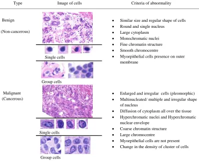 Table 2. Feature of cell in benign and malignant cells