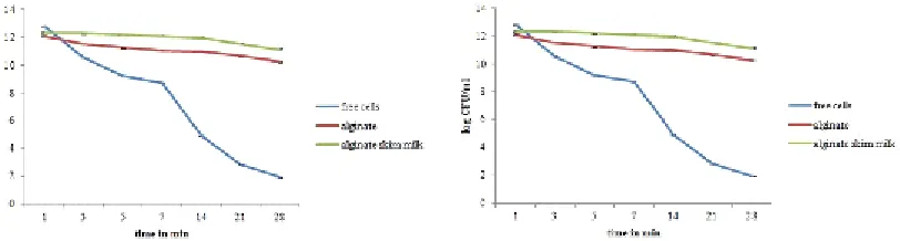 Fig. 1. Storage stability of free and encapsulated cells