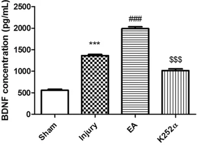 Figure 2. Changes in GAP-43, NGF, and BDNF protein expression in the L4-L6 spinal ventral horn after different treatments on day 8 after surgery