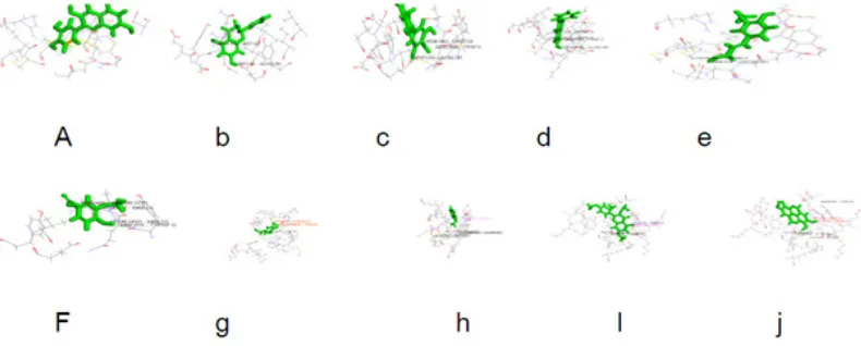 Fig. 4: Common Feature Pharmacophore studies: (A, B, C, D) POSE 1,2,3,4 represents he different positions of   ligands binding with the receptor