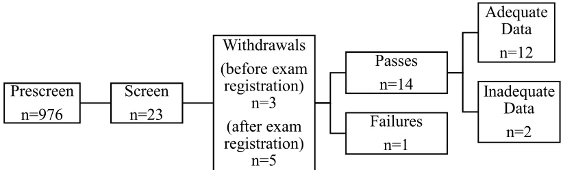 Figure 3. Actual study procedure. 