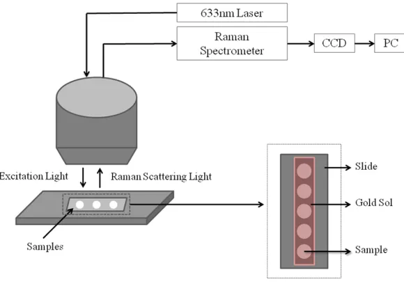 Figure 1. The experimental setup for Raman measurement.