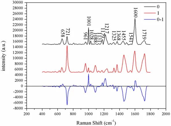 Figure 2. The Raman spectrum which is subtracted of bladder cancer.