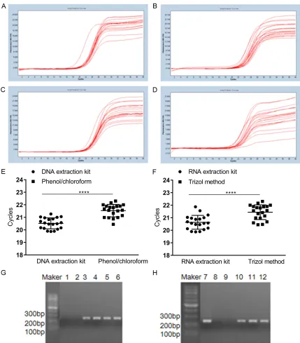 Figure 4. Amplification results of human β-globin gene in DNA and RNA extracted by different methods