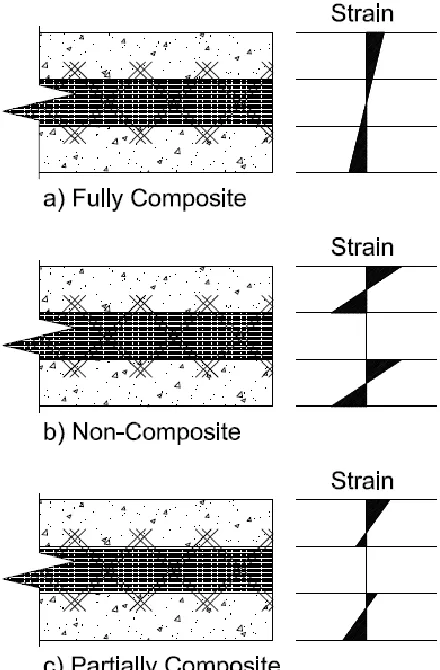 Figure 1-2 : Strain Profiles for Various Degrees of Composite Action   (Each sketch depicts two concrete wythes with a foam core) 
