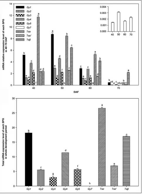 Fig 5. Relative expression pattern of Gy7 mRNA relative expression level. Each value is the average of 3 datasets; SE is denoted by error bars.