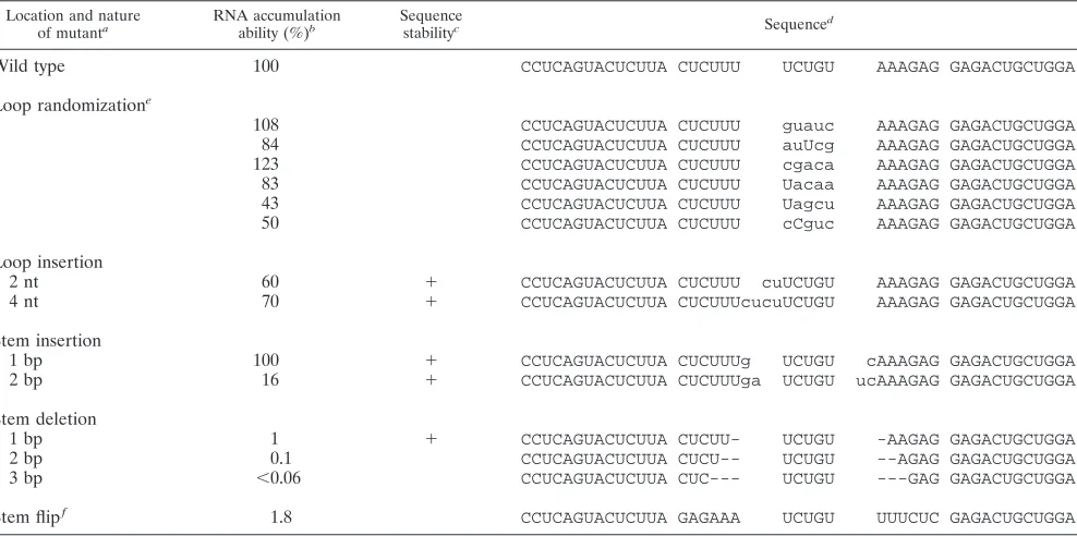 TABLE 1. RNA accumulation for mutants at top of rodlike structure