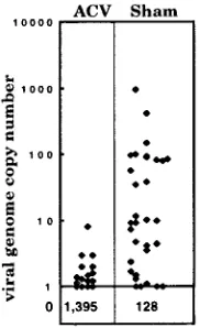 FIG. 6. Viral replication in eyes and TG in sham- and ACV-treated mice.Titers were determined in homogenates of tissues harvested from three mice