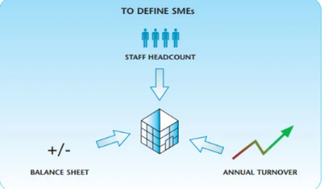 Figure 1. Criteria for Being an SME Source: EU Commission Report, 2005. 