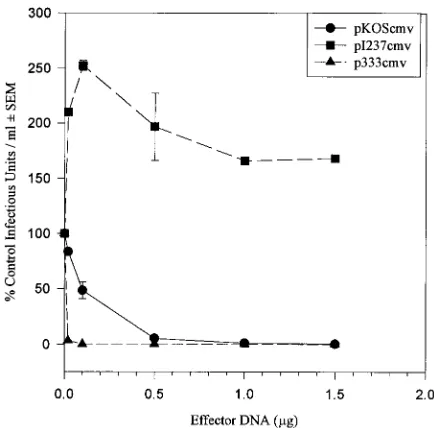 FIG. 2. Effect of vhswith 0.1CMV expression plasmids. pKOScmv contains wild-typepIwild-typeMAGI assay