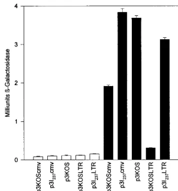 TABLE 1. Expression of lacZ under the control of the HIV LTR