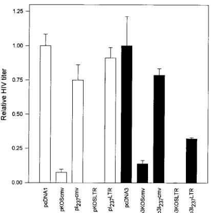 FIG. 5. Western blot of Vhs in transfected cells. HeLa cells were cotrans-fected with the plasmids indicated above the lanes and an HIV proviral clone