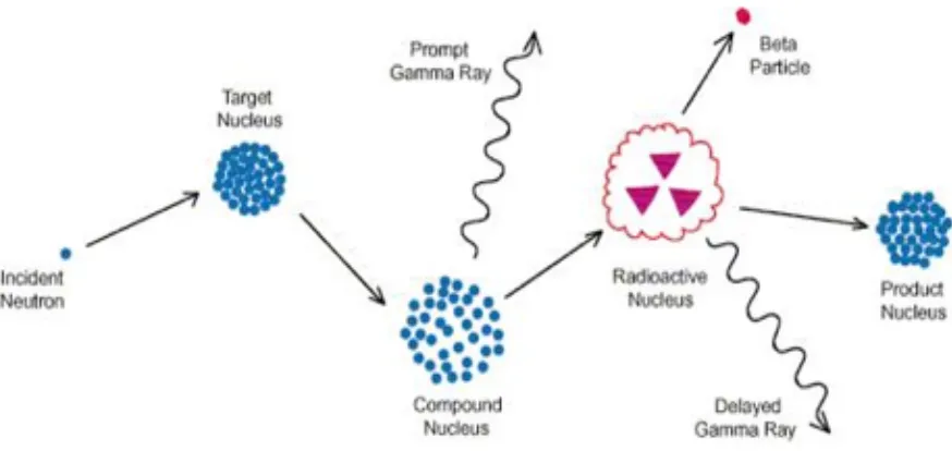 Figure 2.2. Neutron activation process.2 An incident neutron is absorbed by a target nucleus and a compound nucleus is formed