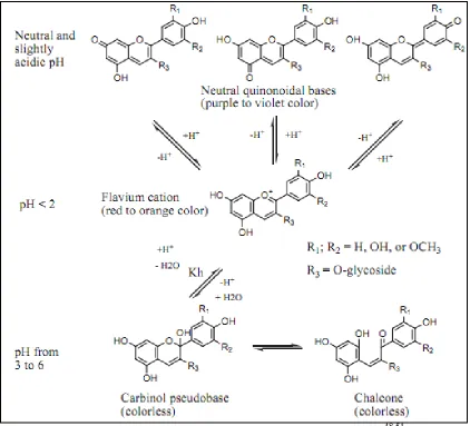 Figure 1.2. pH-Dependent Structural Changes of Anthocyanins48,51 