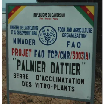 Fig 5. TCP Project in Cameroon.