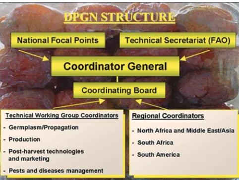 Fig 8. Date Palm Global Network Structure.