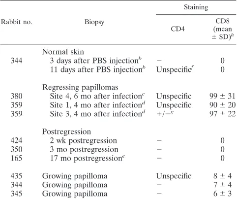TABLE 1. Immunohistochemical staining of CD4� and CD8� cellsin skin biopsies from growing and regressing papillomas and frompostregression sitesa