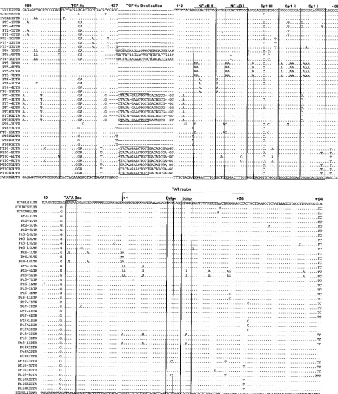 FIG. 1. Alignment of the 5�introduced to preserve alignment. Locations of the binding sites for TCF-1 LTR sequences derived from the LTS against HIVHXB LTR