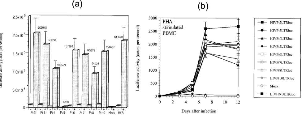 FIG. 2. Comparison of transcriptional activities of the LTS 5�context of the whole infectious virus