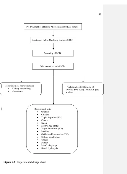 Figure 4.1: Experimental design chart 