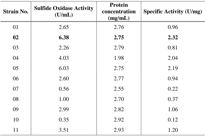 Table 4.2: Screening results for sulfur-oxidizing bacteria 