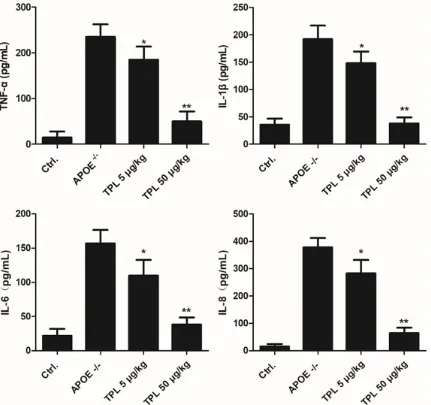 Figure 6. Secretion of inflammatory cytokines is obviously inhibited in TPL-treated mice
