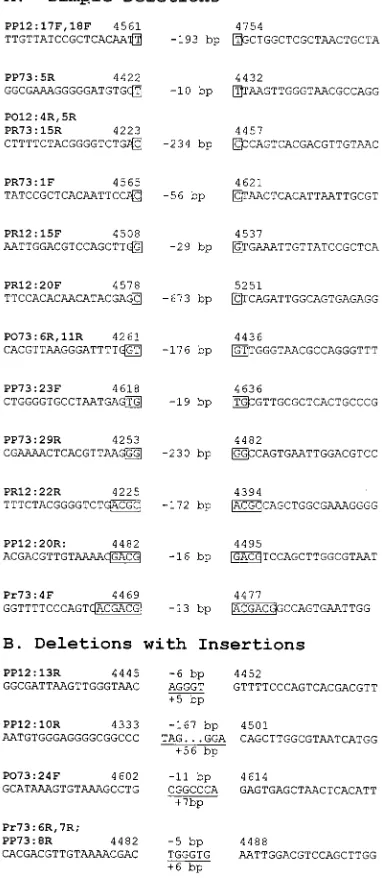 FIG. 4. Sequence analysis of deletions and deletions with insertions. Clonenumbers are shown above the sequence in boldface