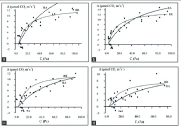 Fig 6. Responses of date palm plants to different water levels in terms of Vmax, Jmax and Jmax/Vmax ratio