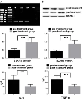 Figure 3. Comparison of the expression of mRNA and protein for β2ARs  in BALF and the concentrations of the inflammatory factors in serum for asthmatic children