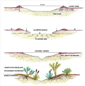 Figure 3.18: Evolutionary model of channel behavior at Core Creek.  The top width widened and bottom narrowed due to slumping banks